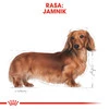 ROYAL CANIN Dachshund Jamnik Adult 7,5kg