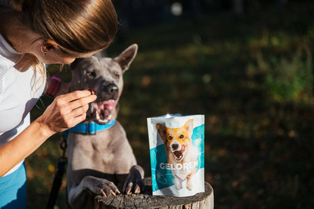 Geloren Small Dog 180g - Mieszanka uzupełniająca, żelki dla małych psów na stawy 60 szt.
