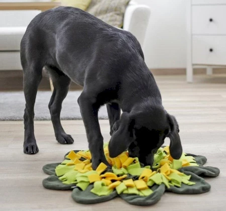 KERBL Mata węchowa Sunflower Zabawka sensoryczna 40cm