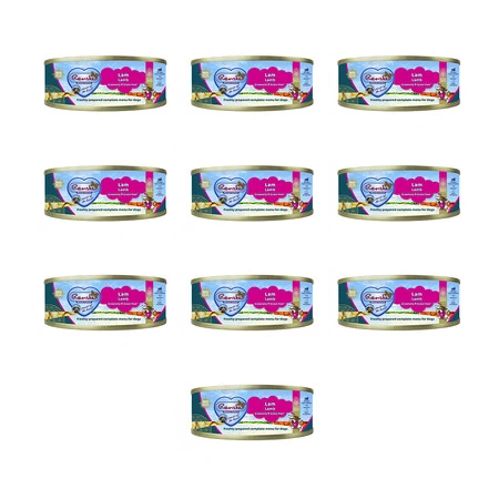 Zestaw 10x Renske Lamb – świeża jagnięcina bez zbóż dla psów (95g)