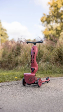 SCOOTANDRIDE Highwaykick 1 Lifestyle 2w1 Jeździk i hulajnoga z zamykanym schowkiem 1-5 lat Wildcat