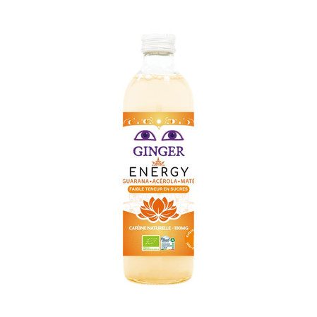 PIWO IMBIROWE ENERGY BEZALKOHOLOWE FAIR FOR LIFE BIO 350 ml - KARMA