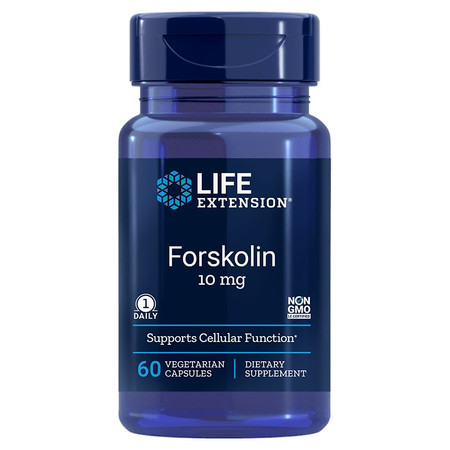 Forskolin - Pokrzywa indyjska (Coleus Forskohlii) ekstrakt (60 kaps.)