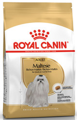 ROYAL CANIN Maltese Maltańczyk Adult 500g