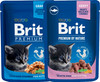 BRIT Cat Kitten Chicken Chunks dla kociąt saszetka 100g