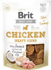 BRIT JERKY Snack CHICKEN Meaty Coins Kurczak Owady 80g