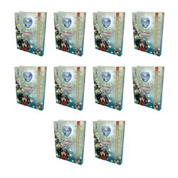 Zestaw 10x Renske Dog CHRISTMAS DINNER - świeży indyk bez zbóż dla psów (395 g)