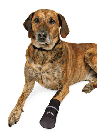 TRIXIE Walker Care Comfort buty ochronne 5-XL 2szt.