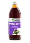 Ostropest