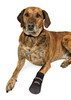 TRIXIE Walker Care Comfort buty ochronne 5-XL 2szt.