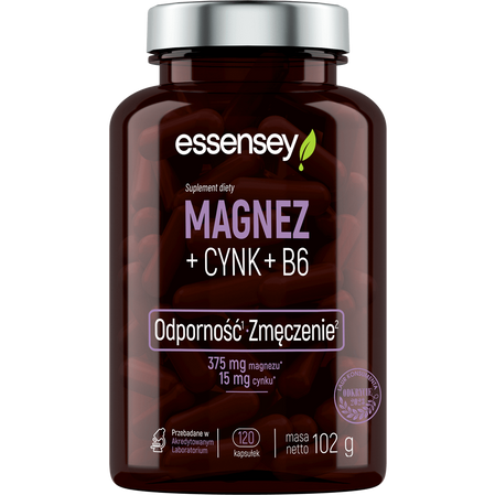 ESSENSEY MAGNEZ+CYNK+B6 120 kaps