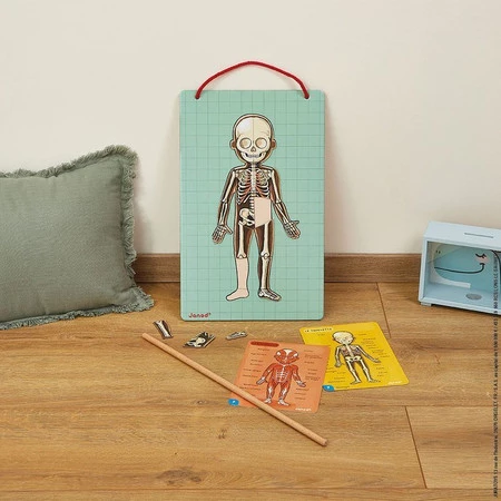 Janod Układanka magnetyczna Ciało człowieka