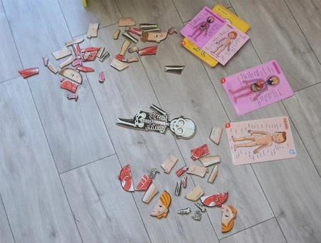 Janod Układanka magnetyczna Ciało człowieka