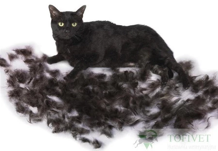 FURminator do podszerstka u kotów krótkowłosych S