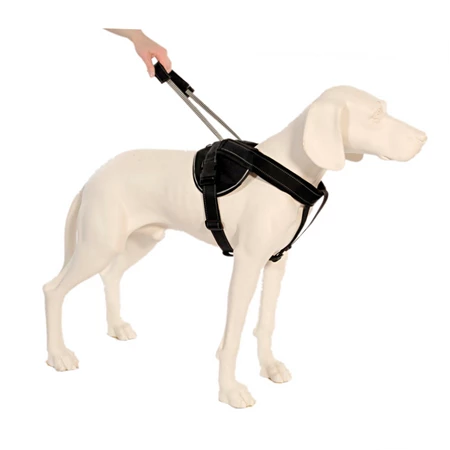 PATENTO PET Szelki Jockey M Czarne