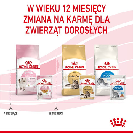 ROYAL CANIN KITTEN w galaretce 85g