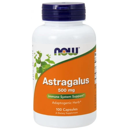 Now - Astragalus 500 mg - 100 kaps
