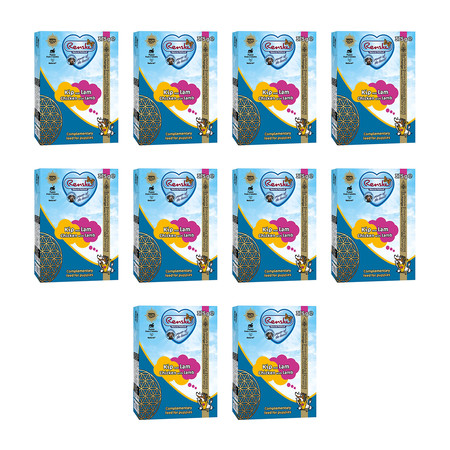 Zestaw 10x Renske Puppy Fresh chicken with lamb - świeży kurczak z jagnięciną dla szczeniąt (375 g)