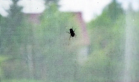 BROS siatka na okno na owady 130x150 kolor: biała