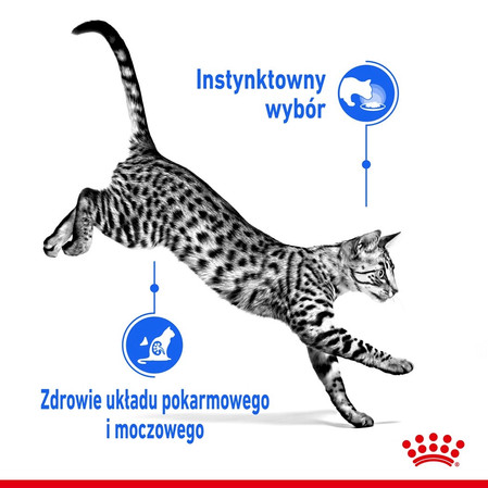 ROYAL CANIN Indoor Sterilised w galaretce 85g
