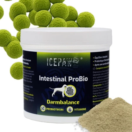 ICEPAW Intestinal ProBio - probiotyk dla psa (90g)