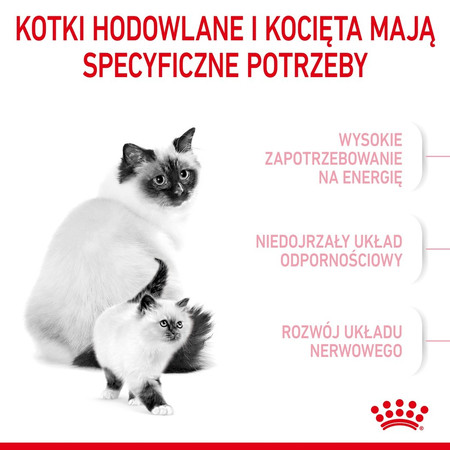 ROYAL CANIN Mother / BABYCAT 2kg