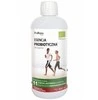 Probiotics Probiotyczna Esencja 500 ml