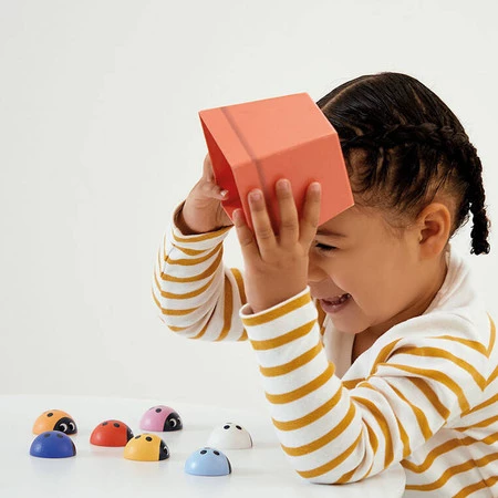 Janod Gra pamięciowa memory Biedronki 2+