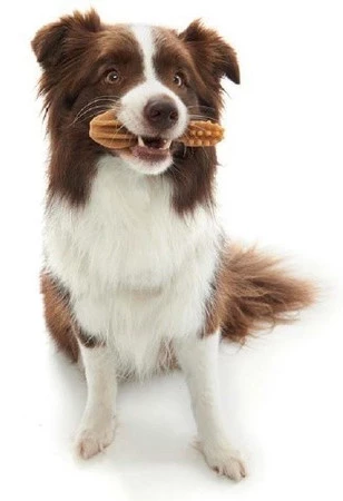 WHIMZEES Szczoteczka do zębów Gryzak dla psa L 6szt.