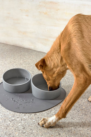 PALOPA Miska dla psa porcelanowa Cali grey