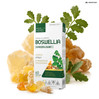 Medica Herbs Boswellia Kadzidłowiec 350mg na wsparcie stawów 60 kaps.