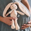 Kaloo Przytulanka Królik Brzoskwiniowy 25 cm w pudełku kolekcja Lapinoo