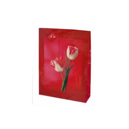 Torebka ozdobna papierowa TG-40 33x45,7x10,2 cm