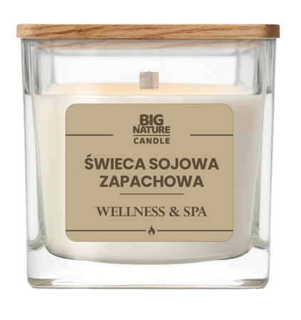 Big Nature Świeca sojowa o zapachu WELLNESS&SPA 220g