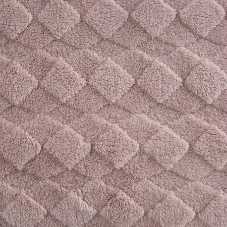 D91/K/NANCY/PUDE 170X210 PUDE