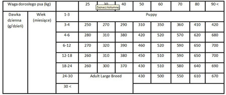 BRIT Care Dog Grain Free Junior Large Breed Salmon 12kg