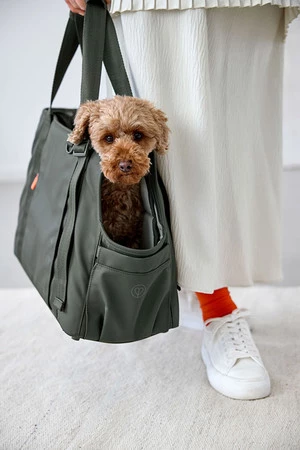 PALOPA Torba transportowa dla psa do 10kg Weda dark olive