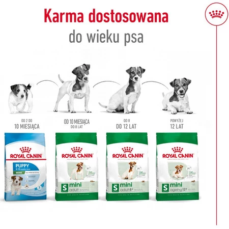ROYAL CANIN Mini Adult S 2kg + 3 Saszetki 85g GRATIS !!