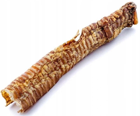 MACED 100% Natura Tchawica Wołowa 1szt.