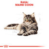 ROYAL CANIN Maine Coon Adult w sosie 85g