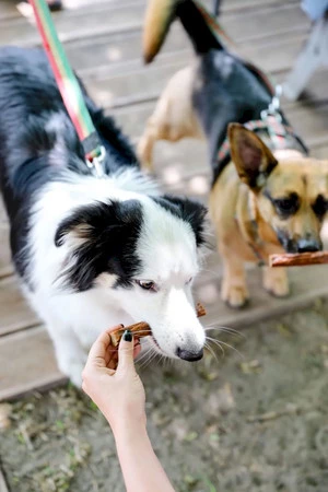 Happy Snacky NAPSANOSY Kabanosy z Wołowiny 3szt.