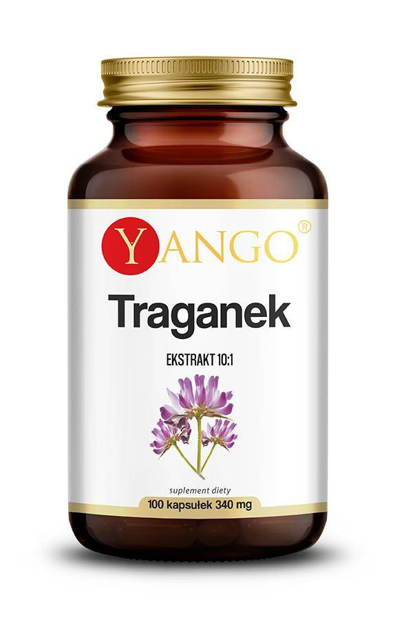 Astragalus - Traganek (100 kaps.)