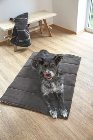 PALOPA Mata dla psa Alma anthracite S