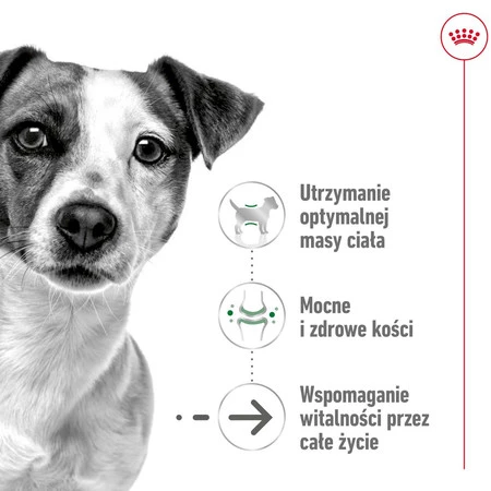 ROYAL CANIN Mini Ageing 12+ S 1,5kg