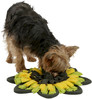 KERBL Mata węchowa Sunflower Zabawka sensoryczna 40cm