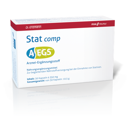 AEGS Stat Comp MSE (30 kaps.)