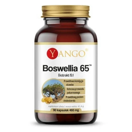 Yango Boswellia 65Tm 60 t Kadzidłowiec