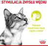 ROYAL CANIN Sensory Smell w sosie 85g