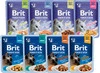 BRIT Premium Cat Fillets in Jelly Chicken KURCZAK galaretka 85g