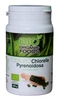 BIO ORGANIC FOOD 100% BIO Chlorella Pyrenoidosa 1200 tabl.